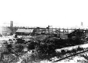Sawmill of the Otis Staples Lumber Company