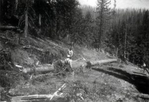 Loggers at Mineral Lake