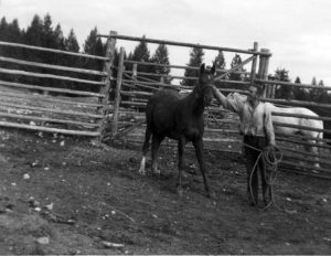 Dennis Dilts' memories