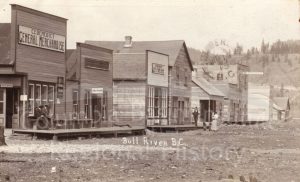 Ties To Water  - The History Of Bull River In The East Kootenay
