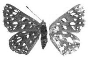 History, Naturally!!