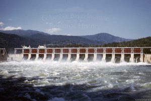 Notes on the nature of Dams